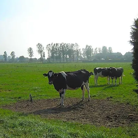 De Kleine 4*