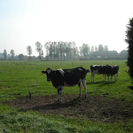 Bed & Breakfast De Kleine 4*