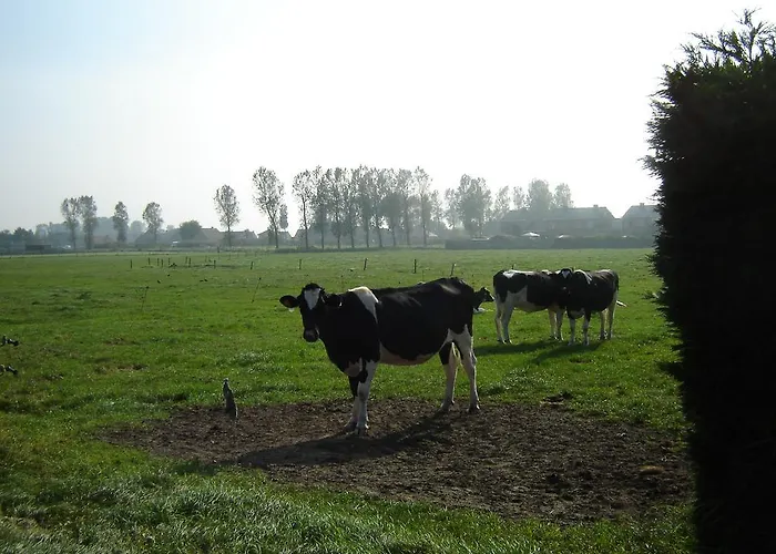 Bed & Breakfast De Kleine 4*